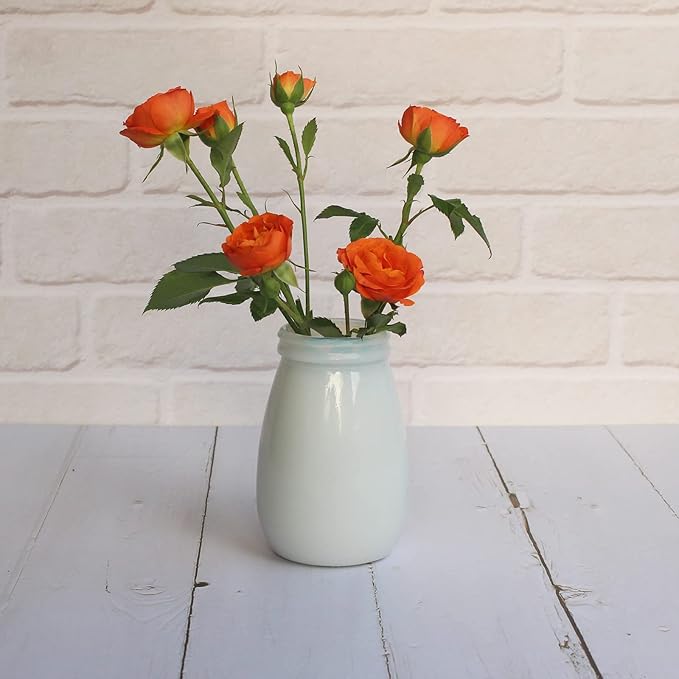 YANLING 6 Pack White Vase for Decor Ceramic Vase for Flowers, Small Bud Vases for Home Decor White Flower Vase, Boho Vases Dried Flowers Vases