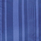 Amazon Basics Twin/Twin XL Comforter Set with Sheets, 5-Piece Blue Calvin Striped Bedding, Lightweight Microfiber Bed-in-a-Bag