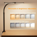 LED Desk Lamp for Home Office, 24W Computer Desk Light with Remote Control, Bright Table Lamp with Clamp Dimmable Tall Desktop Lighting with Bendable Gooseneck, Double Head, Black