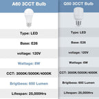 Black Table Lamp for Bedroom - 3 Color Temperature 3000K 5000K 4000K Bedside Lamp, Pull Chain Control, USB A and C Ports, AC Outlets, Bulb Included, Medium