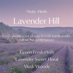 COCODOR 5 Packs Lavender Scented Sachets/Air Freshener Sachets Bags for Drawers, Closet, Cars, Long-Lasting Deodorizers Fresh Scents, Home Fragrance