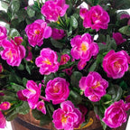 Ivydale Artificial Faux Outdoor Flowers Plants for Outside Fall Decoration, Fake Silk Fuchsia Camellia UV Resistant Realistic for Planter Porch Patio Balcony Garden Home, 3 Large Bundles