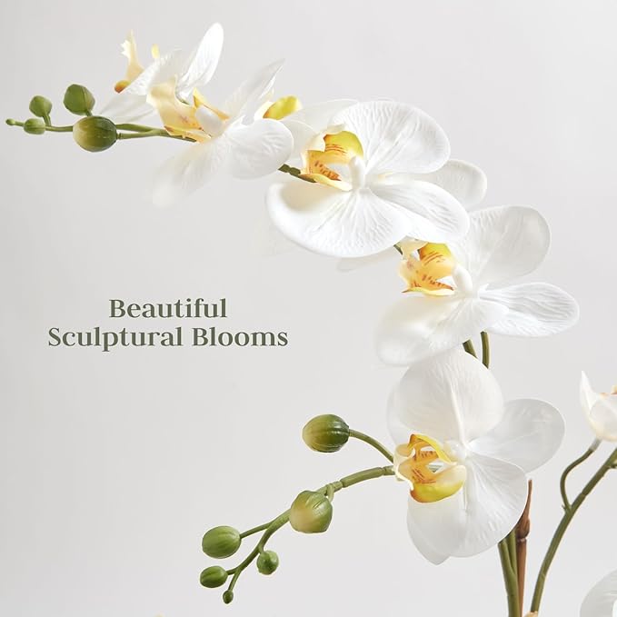 CG Hunter Faux Orchid Plant w/Succulents, Premium Artificial Indoor Flower Display Stands 24” w/Beautiful Sculptural Blooms and Succulents That Lasts Forever, Grey Planter Pot Included