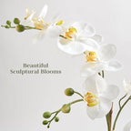 CG Hunter Faux Orchid Plant w/Succulents, Premium Artificial Indoor Flower Display Stands 24” w/Beautiful Sculptural Blooms and Succulents That Lasts Forever, Grey Planter Pot Included