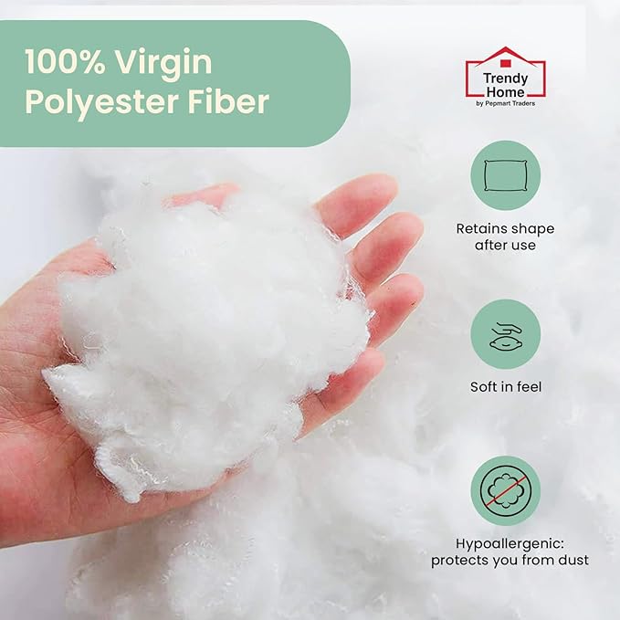 Trendy Home 20x20 Throw Pillow Insert (Set of 2, White) Bed and Couch Pillows Stuffer Hypoallergenic, Decorative Home Indoor Outdoor Sofa Pillow Filler (Machine Wash, 2 Pack)