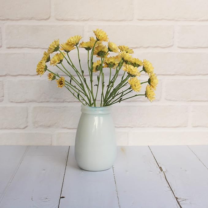 YANLING 6 Pack White Vase for Decor Ceramic Vase for Flowers, Small Bud Vases for Home Decor White Flower Vase, Boho Vases Dried Flowers Vases