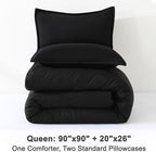 Litanika Black Comforter Set Queen Size, 3 Pieces Lightweight Solid Bedding Comforter Set, All Season Fluffy Bed Set (90x90In Comforter & 2 Pillowcases)