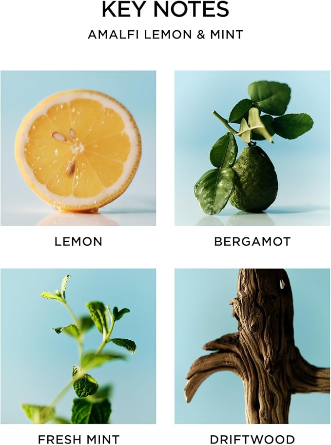 NEST New York Reed Diffuser, Amalfi Lemon & Mint - 5.9 fl oz - Fragrance for Up to 90 Days - Reusable, Refillable Glass Holder - Includes 8 All-Natural Reed Sticks - Flame Free