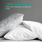 APSMILE 22x22 Down Feather Throw Pillow Inserts 2 Pack - Premium Soft Cotton Euro Square Decorative Pillow Core Set for Bed, Sofa, Couch, Ivory White