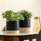 Nihow Ceramic Plant Pot: 6 Inch Planter with Drainage Hole & Saucer for Indoor & Outdoor Plants - Cylinder Round Flower Pot for Succulent/Herbs/Violets - Black & Brown