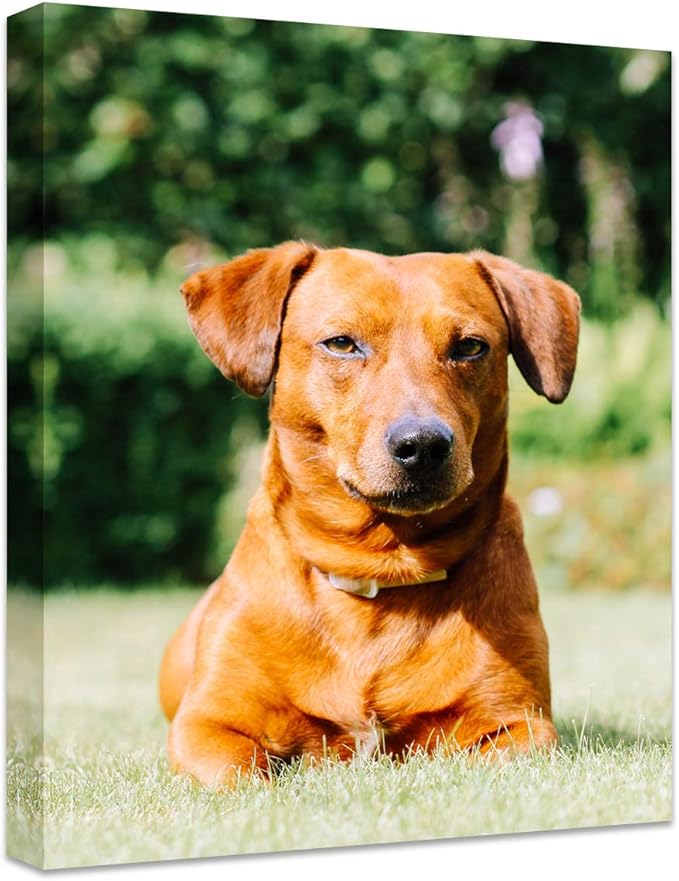 Personalized Photo to Canvas Print - Canvas Prints With Your Photos on Custom Wall Art for Bedroom, Living Room, Wedding Baby Pet Family Picture Framed Wall Art (12" W x 16" H)