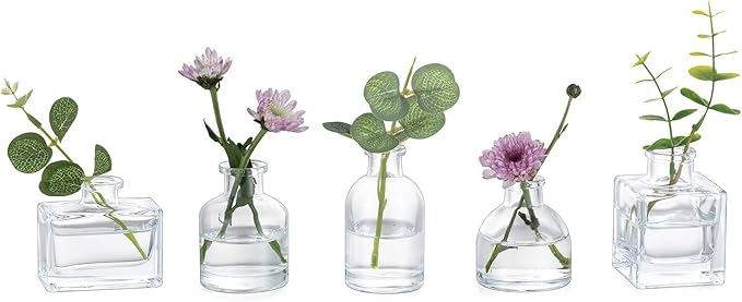 Glasseam Mini Glass Bud Vases: Small Clear Vases for Centerpieces Cute Tiny Flower Vase Set of 5 for Flowers Modern Centerpiece Decor for Wedding Party Dining Room Decoration