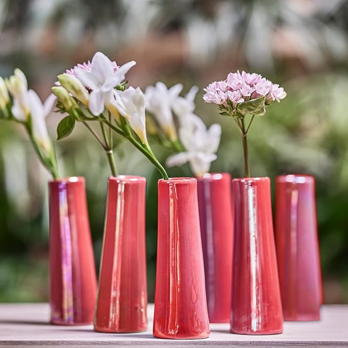 Chive - Set of 6 Galaxy, 1.5" in Wide 5.5" Tall Small Cylinder Ceramic Bud Flower Vase, Unique Single Flower Decorative Floral Vase for Home Decor, Bulk (Ginger Red)