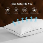 DWR Luxury Goose Feather Down Core Pillow Surrounded by Polyester - Set of 1 - King Size(20"x36") - Medium Firm - 100% Organic Cotton