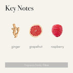 LAFCO New York 3-Wick Candle, Champagne - 30 oz - 120-Hour Burn Time - Reusable, Hand Blown Glass Vessel - Made in The USA