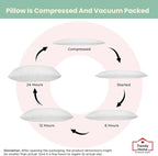 Trendy Home 24x24 Throw Pillow Insert (Set of 2, White) Bed and Couch Pillows Stuffer Hypoallergenic, Decorative Home Indoor Outdoor Sofa Pillow Filler (Machine Wash, 2 Pack)