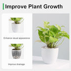 2.5 lbs Small Rocks for Plants, 1/5 Inch Pebbles for Indoor Plants, Natural Decorative Pea Gravel for Aquarium, Fish Tank, Terrarium, Succulents, Bamboo Plants, Vases, Cactus, Crafts