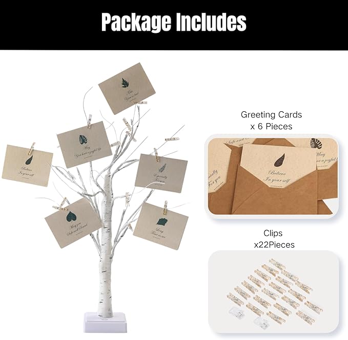 Money Tree Gift Holder, Pre-lit Birch Tree, Battery/USB Powered Light Up Display Twig Gift Card Treelight with 22 Clips and 6 Cards for Home Christmas Graduation Photo Memo