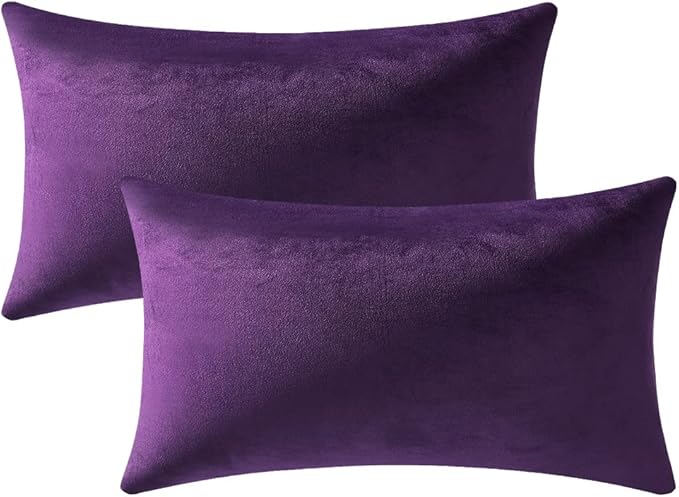 12x20 Throw Pillow Cases Purple: 2 Pack Cozy Soft Velvet Rectangular Decorative Pillow Covers for Farmhouse Home Decor