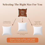 22x22 Pillow Inserts Set of 2, Natural Feather Down Pillows with 100% Cotton Cover, Throw Pillow for Bed, Couch and Sofa.