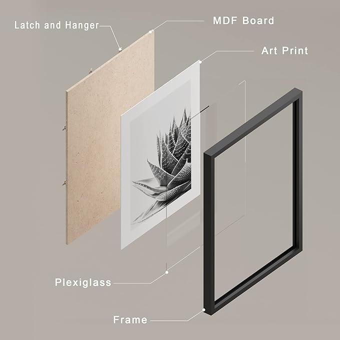 SIGNWIN Framed Black White Snake Plant Agave Cactus Succulent Wall Art, Set of 4 Floral Botanical Wall Decor Prints, Nature Wilderness Wall Décor for Living Room, Bedroom - 11"x14" Black