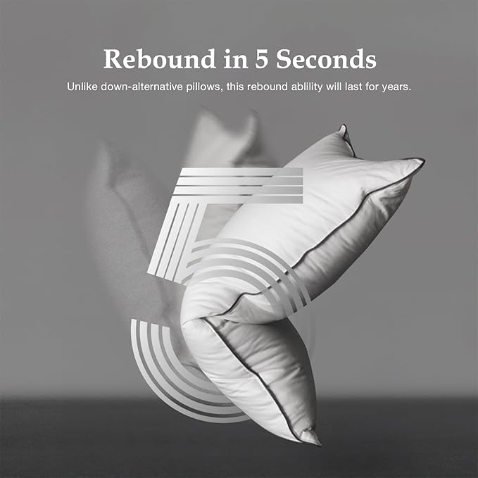 DWR Luxury Goose Feather Down Core Pillow Surrounded by Polyester - Set of 1 - King Size(20"x36") - Medium Firm - 100% Organic Cotton