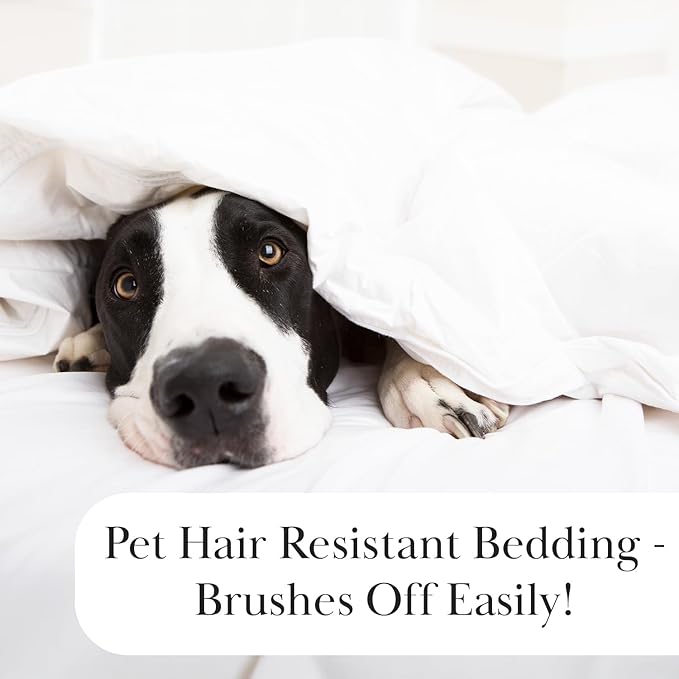 Southshore Fine Living, Inc. Dorm Comforter, Twin/XL Quilt Bedding Set, College Dorm Room Bedding Essentials, Stain Resistant, Machine Washable, XL/Twin Quilt Bed Spread with Pillow Sham, Bone Color