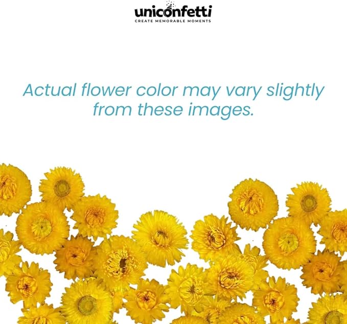 Dried Flower Red Plum Biodegradable Confetti - Real Flower Petals for Weddings, Flower Girl Toss, Wedding Send Off Ideas, Party Table Decoration | Boxed - 8oz (0.5lbs)