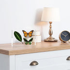 TWING 6 Pack Picture Frames Acrylic 4 x 6, Horizontal Magnet Frame Lucite Double Sided 4x6 Picture Frame, 10+10MM Thick Clear Frameless Desktop Display Self Standing Magnetic Acrylic Block Photo Frame