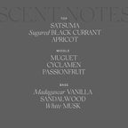 Antica Farmacista Home Ambiance Diffuser, Prosecco 8.45 Fl Oz