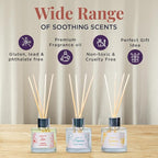 Folkulture Reed Diffuser Set of 3 with Sticks | Lavender Scent Diffusers for Home, Living Room, Office, Powder Room, Bathroom Accessories | Fragrance Oils with Natural Essential Oil |Million - 1.7 Oz