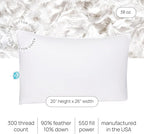 East Coast Bedding Pure Dream Firm Pillow - Standard Size 20x26 Inch Medium Support Goose Feather Down Pillows, 100% Cotton Shell, Standard Pillow Set of 2