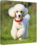 Personalized Photo to Canvas Print - Canvas Prints With Your Photos on Custom Wall Art for Bedroom, Living Room, Wedding Baby Pet Family Picture Framed Wall Art (24" W x 36" H)