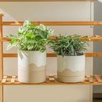 Nihow Ceramic Plant Pot: 6 Inch Planter with Drainage Hole & Saucer for Indoor & Outdoor Plants - Cylinder Round Flower Pot for Succulent/Herbs/Violets - White & Nature