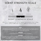 ENVIRONMENT Inspired by 5-Star Hotels EDT Room Spray, 100ml Air Freshener (Blonde Woods | Rose | Black Fig) Home Fragrance Accessories, Room Perfume, Room Deodorizer, Vegan & Cruelty-Free