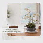 CG Hunter Faux Orchid Plant w/Succulents, Premium Artificial Indoor Flower Display Stands 24” w/Beautiful Sculptural Blooms and Succulents That Lasts Forever, Grey Planter Pot Included