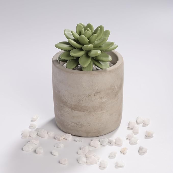 Reed Diffuser Set, Pretty Valley Home Succulent Gypsum Ceramic Fragrance Diffuser Vase Set - Frozen Pear 3.38 fl oz (100 ml), Home Fragrance Reed Diffuser for Bathroom Office Living Room Decor