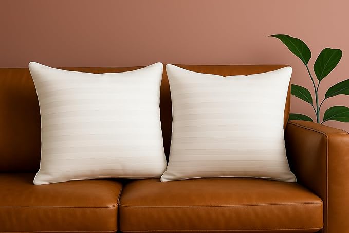 Trendy Home 24x24 Throw Pillow Insert (Set of 2, White) Bed and Couch Pillows Stuffer Hypoallergenic, Decorative Home Indoor Outdoor Sofa Pillow Filler (Machine Wash, 2 Pack)