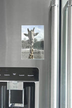 4x6 Clear Acrylic Picture Frame Magnet; Magnetic Acrylic Photo Frames (10)