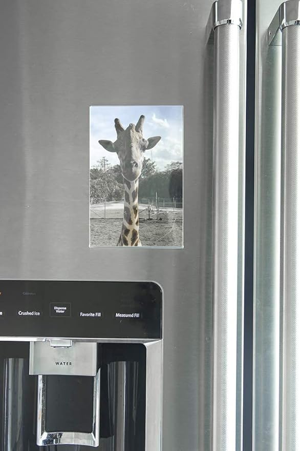 4x6 Clear Acrylic Picture Frame Magnet; Magnetic Acrylic Photo Frames (10)