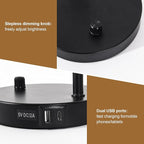 Desk Lamps, Table Lamps for Bedrooms with 2 USB Port, Stepless Dimmable Bedside Lamps, Adjustable Gooseneck Lamp for Living Room, Small Lamps for Office Reading, Nightstand Lamps with 5W LED Bulb