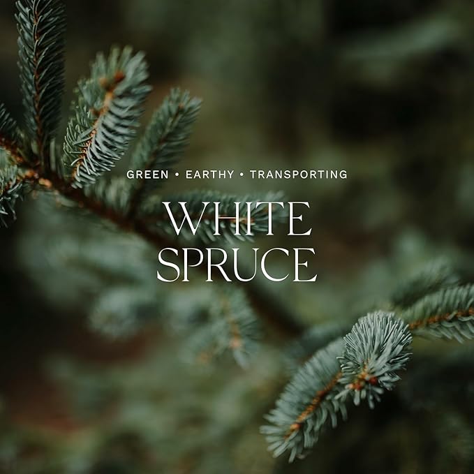 Antica Farmacista Home Ambiance Diffuser,White Spruce,10.8 Fl Oz