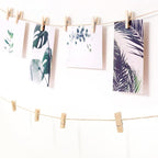 Photo Hanging Display with 50 Photo Clips, String Hanging Pictures Decor Wall Display, Clip Photo Holders for Hanging Kids Artwork On Wall Decor Home