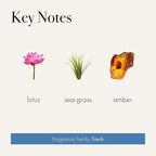 LAFCO New York Odor Removing Room Mist, Sea & Dune - 4 oz - Eliminates Unpleasant Scents & Provides Luxurious Fragrance - Up to 750 Pump Sprays Per Bottle - Made in the USA