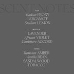 Antica Farmacista Room Spray - Sandalwood Amber, 3.4 Fl Oz (Pack of 1)