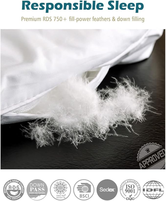 Cobnom® Luxury Organic Feather Down Comforter Twin Size, All-Season Duvet Insert, Fluffy High Fill-Power Down Feather Filled, 100% Cotton Cover, Medium Warm, Ivory White, 68x90 Inch