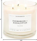 Calyan Wax Co. 3 Wick Candle, Evergreen + Eucalyptus Scented Candle, 43 Hour Burn Time, 3 Wick Soy Candles, Non Toxic & Vegan Soy Wax, Glass Jar Scented Candles, 14.9oz