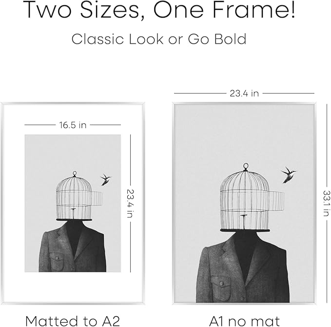 Homeforia A1 Poster Frame Silver, High End Metal A1 Large Picture Frame Silver with Mat A2 for Photo, 23.4x33.1 Frames Matted to 16.5x23.4 Print, 23.4 by 33.1 Frame, Tempered Glass, Wall Kit, Set of 1