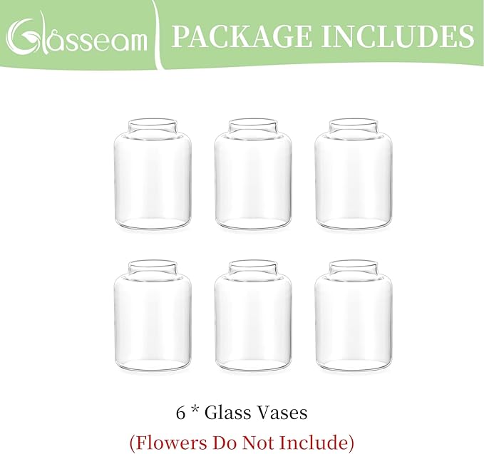 Glasseam Bud vases Set of 6: Glass Vases for Centerpieces Modern Small Vases for Home Table Shelf Wedding Party Decoration - Clear Vase for Flowers Stem Roses Tuilps Cuttings