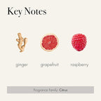 LAFCO New York Classic Reed Diffuser, Champagne - 6 oz, Pack of 2 - Up to 3 Months Fragrance Life - Reusable, Hand Blown Glass Vessel - Natural Wood Reeds - Made in The USA